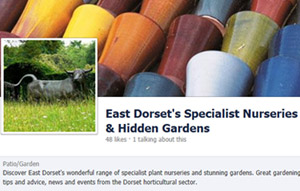 Facebook page - East Dorset's Specialist Nurseries and Hidden Gardens